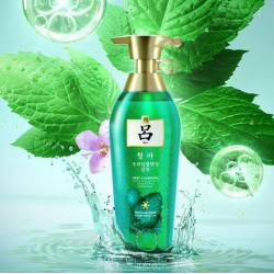 Anti-Dandruff Shampoo12v